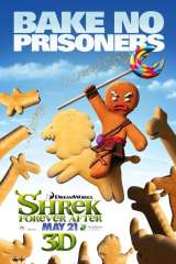 Shrek Forever After poster 8