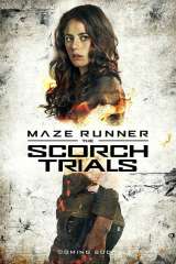 Maze Runner: The Scorch Trials poster 8