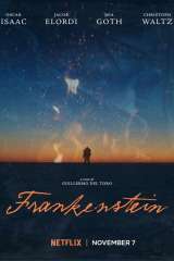 Frankenstein poster 48