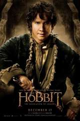 The Hobbit: The Desolation of Smaug poster 18