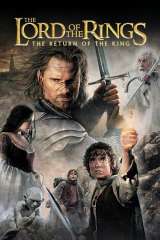 The Lord of the Rings: The Return of the King poster 16