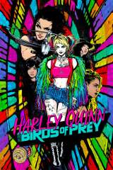 Birds of Prey (and the Fantabulous Emancipation of One Harley Quinn) poster 9