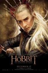 The Hobbit: The Desolation of Smaug poster 20