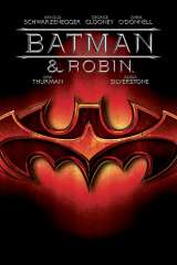 Batman & Robin poster 6