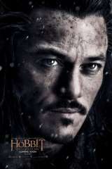 The Hobbit: The Battle of the Five Armies poster 20