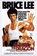 The Way of the Dragon poster 25