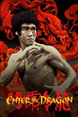 Enter the Dragon poster 12