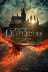 Fantastic Beasts: The Secrets of Dumbledore poster 10