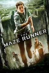 The Maze Runner poster 14