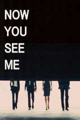 Now You See Me (2013)