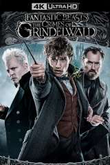 Fantastic Beasts: The Crimes of Grindelwald (2018)