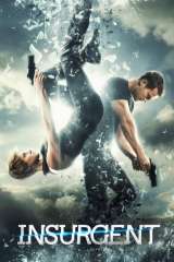 Insurgent poster 8