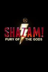Shazam! Fury of the Gods poster 35