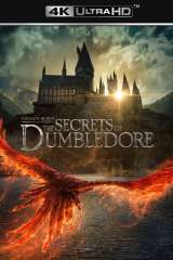Fantastic Beasts: The Secrets of Dumbledore poster 30