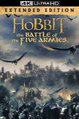 The Hobbit: The Battle of the Five Armies poster 29