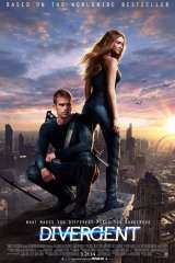 Divergent poster 1