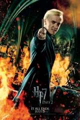 Harry Potter and the Deathly Hallows: Part 2 poster 16