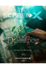 Fantastic Beasts: The Secrets of Dumbledore poster 37