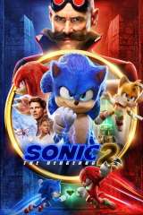 Sonic the Hedgehog 2 poster 6