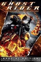 Ghost Rider: Spirit of Vengeance poster 6