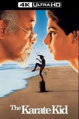 The Karate Kid poster 7
