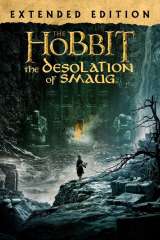 The Hobbit: The Desolation of Smaug poster 11