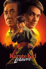 Karate Kid: Legends poster 31