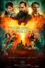 Fantastic Beasts: The Secrets of Dumbledore poster 40