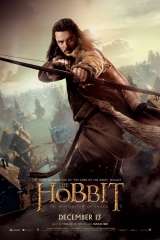 The Hobbit: The Desolation of Smaug poster 25
