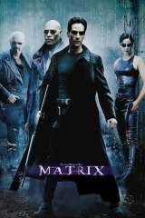 The Matrix poster 22