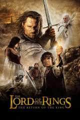 The Lord of the Rings: The Return of the King poster 15