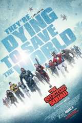 The Suicide Squad poster 9