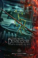 Fantastic Beasts: The Secrets of Dumbledore poster 17