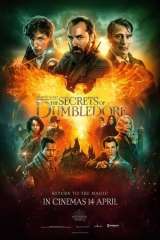 Fantastic Beasts: The Secrets of Dumbledore poster 32