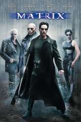 The Matrix poster 14