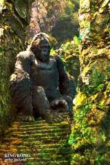 King Kong poster 23