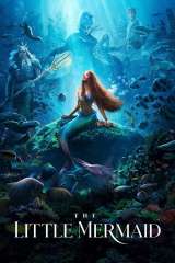 The Little Mermaid poster 43