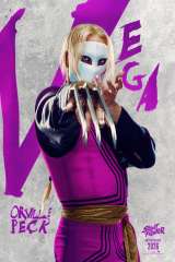 Street Fighter poster 7