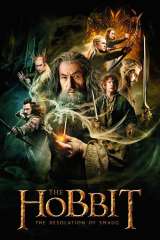 The Hobbit: The Desolation of Smaug poster 41