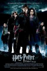 Harry Potter and the Goblet of Fire poster 9
