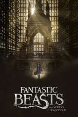 Fantastic Beasts and Where to Find Them poster 23