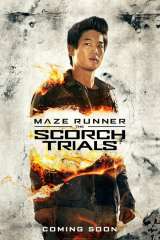 Maze Runner: The Scorch Trials poster 6
