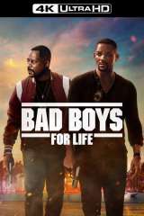 Bad Boys for Life poster 10