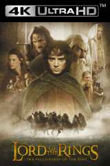 The Lord of the Rings: The Fellowship of the Ring poster 7