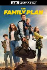 The Family Plan poster 11