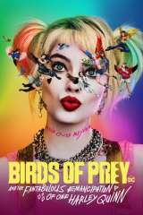 Birds of Prey (and the Fantabulous Emancipation of One Harley Quinn) poster 11
