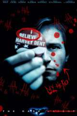 The Dark Knight poster 20