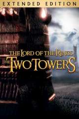 The Lord of the Rings: The Two Towers poster 11
