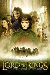 The Lord of the Rings: The Fellowship of the Ring poster 12