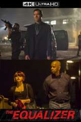 The Equalizer poster 18